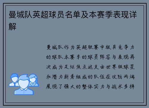 曼城队英超球员名单及本赛季表现详解